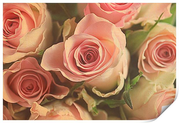 roses for you. Print by Rosanna Zavanaiu