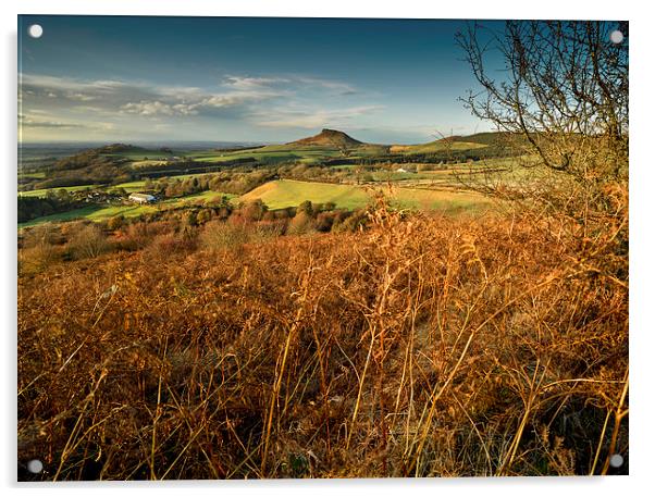  Roseberry Topping Acrylic by Dave Hudspeth Landscape Photography
