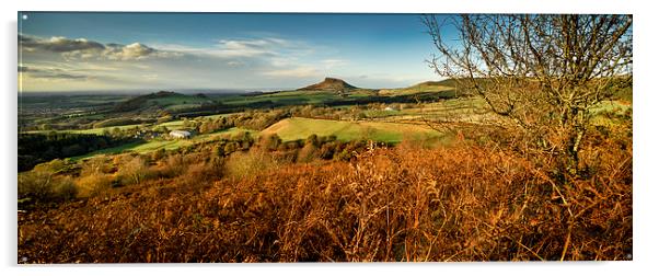  Roseberry Topping Panoramic Acrylic by Dave Hudspeth Landscape Photography