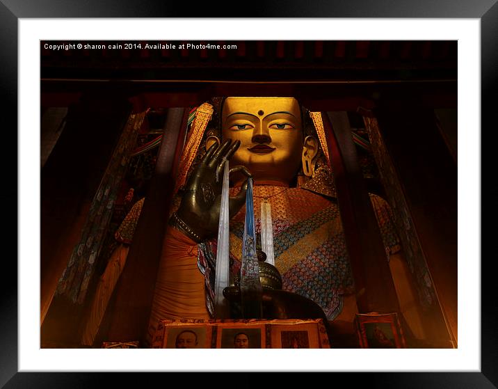 Gigantic Maitreya Buddha  Framed Mounted Print by Sharon Cain