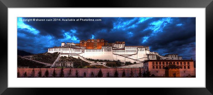  The Potala Palace Framed Mounted Print by Sharon Cain