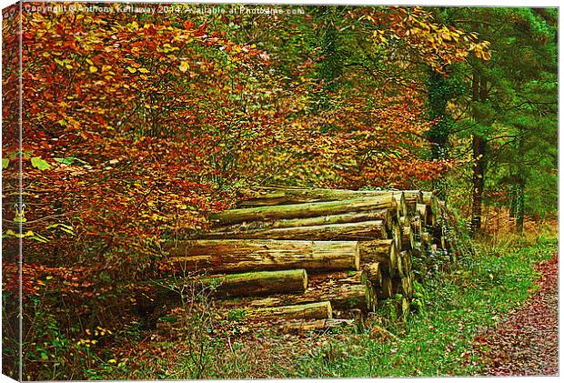  NEW FOREST WOOD STACK IN AUTUMN Canvas Print by Anthony Kellaway