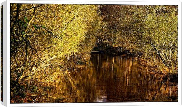  Autumn reflections Canvas Print by jane dickie