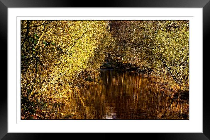  Autumn reflections Framed Mounted Print by jane dickie
