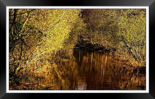  Autumn reflections Framed Print by jane dickie