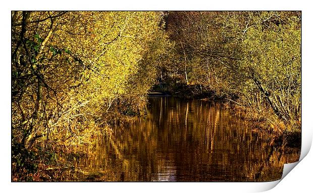  Autumn reflections Print by jane dickie