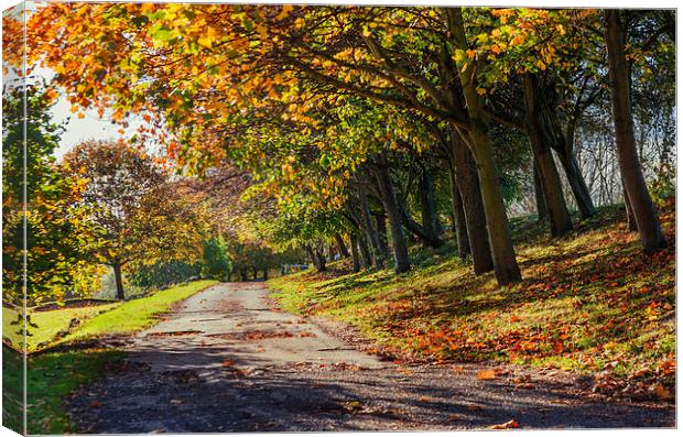  Autumn Day Canvas Print by ZI Photography