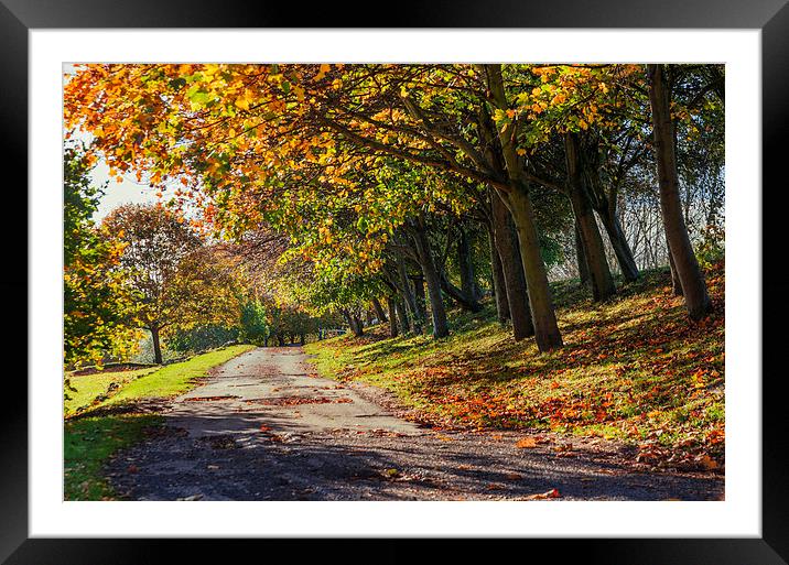  Autumn Day Framed Mounted Print by ZI Photography