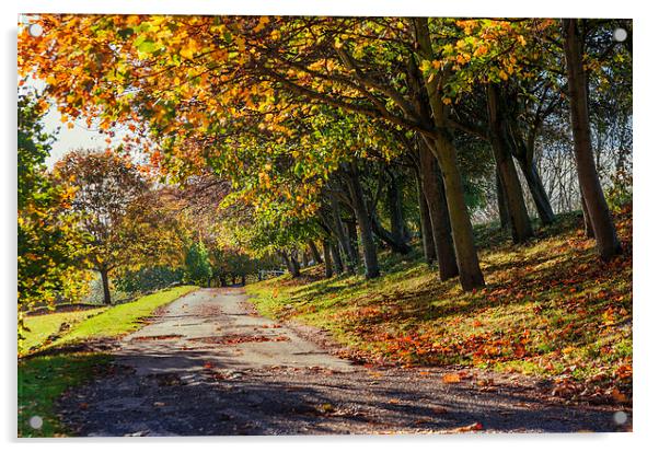  Autumn Day Acrylic by ZI Photography