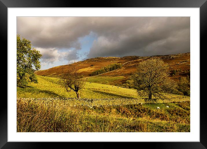  Light on Gowbarrow Fell Framed Mounted Print by Jacqi Elmslie