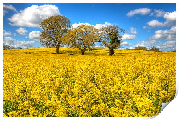  Early spring Print by Paul Nichols