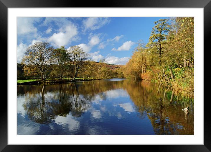 River Derwent Reflections at Bamford  Framed Mounted Print by Darren Galpin