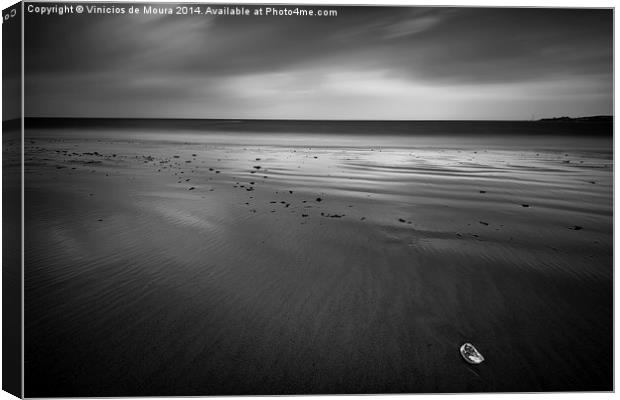 Alone by the beach Canvas Print by Vinicios de Moura