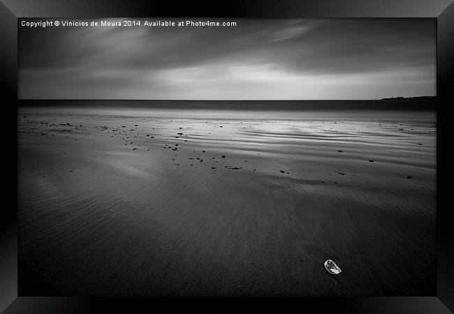 Alone by the beach Framed Print by Vinicios de Moura