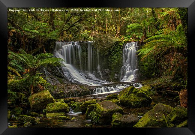  Horseshoe Falls, Mountfield National Pk, Tasmania Framed Print by Sandi-Cockayne ADPS
