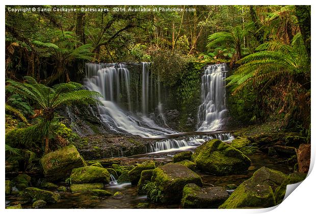  Horseshoe Falls, Mountfield National Pk, Tasmania Print by Sandi-Cockayne ADPS