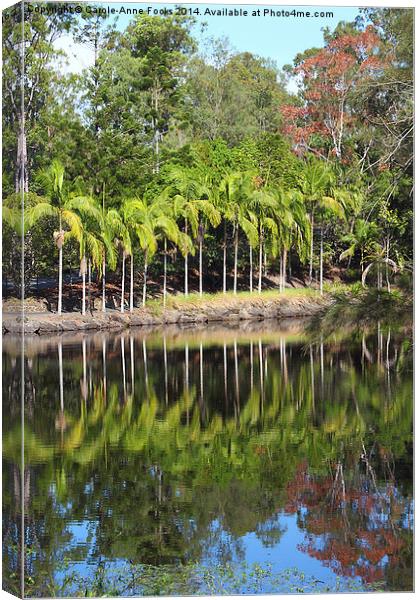  Mount Coot-tha Botanic Gardens, Brisbane Canvas Print by Carole-Anne Fooks