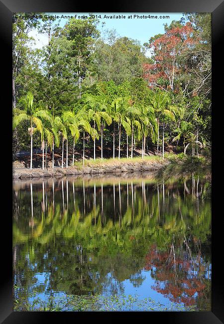  Mount Coot-tha Botanic Gardens, Brisbane Framed Print by Carole-Anne Fooks
