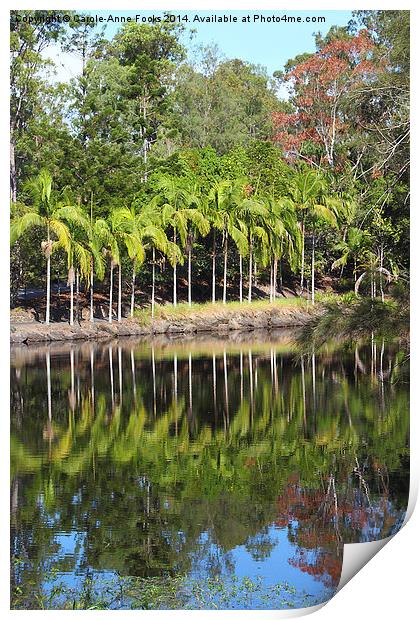  Mount Coot-tha Botanic Gardens, Brisbane Print by Carole-Anne Fooks