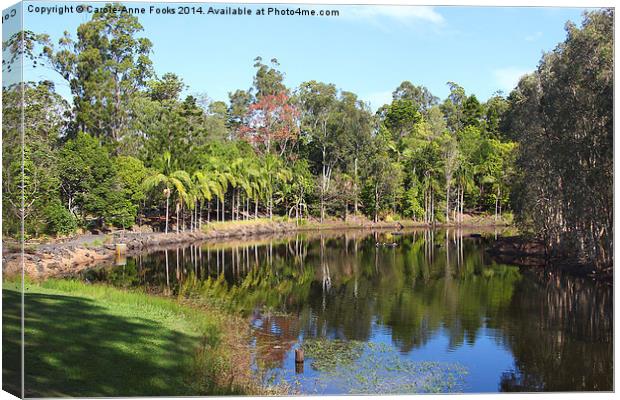   Mount Coot-tha Botanic Gardens, Brisbane Canvas Print by Carole-Anne Fooks