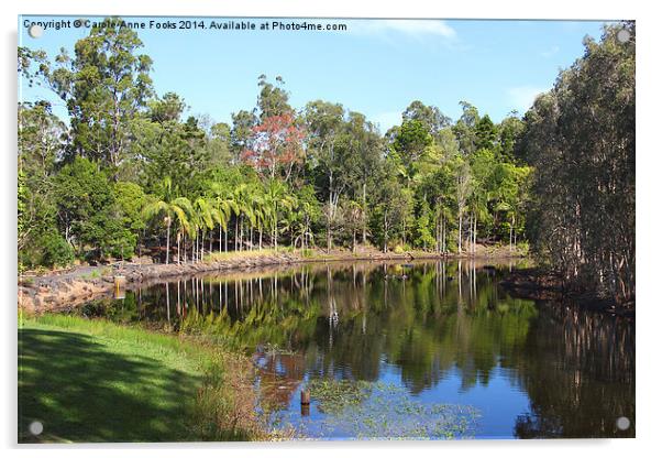   Mount Coot-tha Botanic Gardens, Brisbane Acrylic by Carole-Anne Fooks