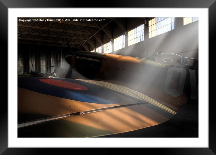  In the presence of spitfires Framed Mounted Print by Antony Burch