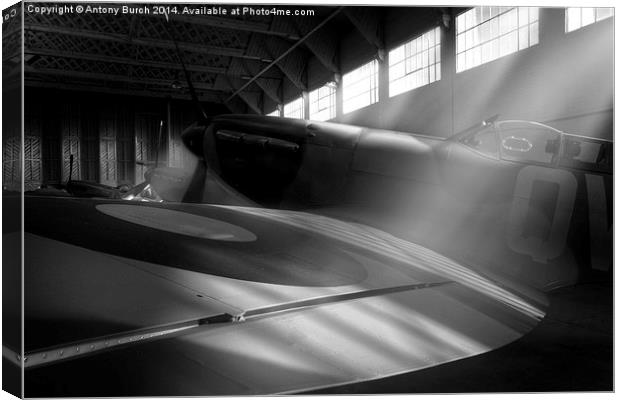 In the presence of spitfires (mono) Canvas Print by Antony Burch