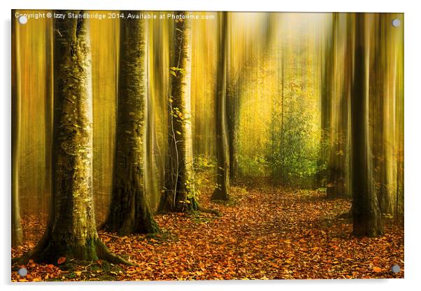  Autumn woods Acrylic by Izzy Standbridge