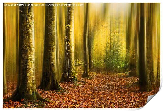  Autumn woods Print by Izzy Standbridge