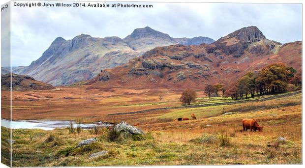  Autumn in the Lakes Canvas Print by John Wilcox