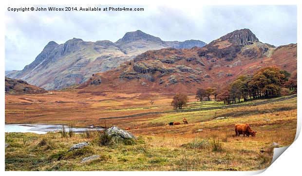  Autumn in the Lakes Print by John Wilcox