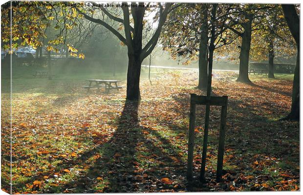 Autumn light Canvas Print by Howard Corlett