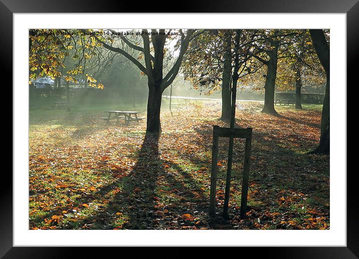 Autumn light Framed Mounted Print by Howard Corlett