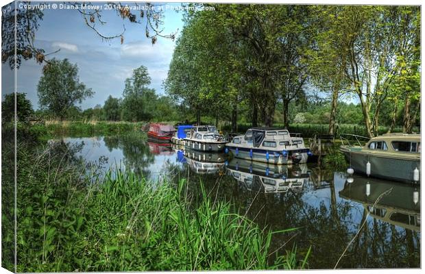 Boats on the Chelmer  Canvas Print by Diana Mower