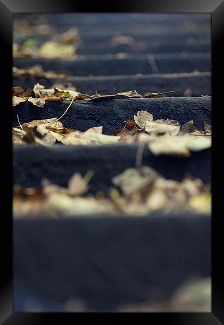 Autumn steps Framed Print by Paul Nichols