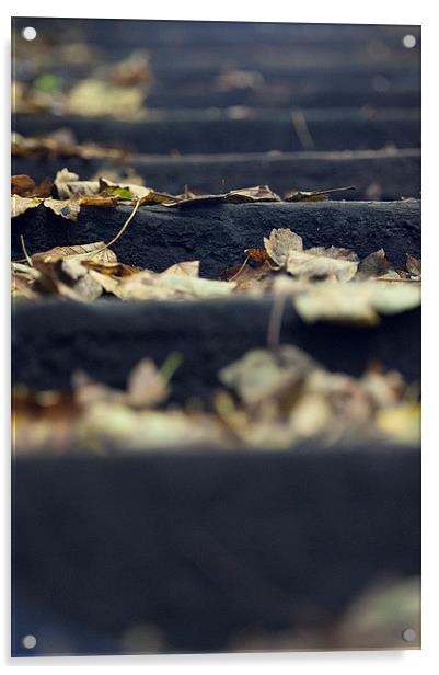  Autumn steps Acrylic by Paul Nichols