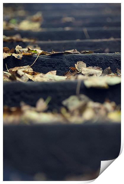  Autumn steps Print by Paul Nichols