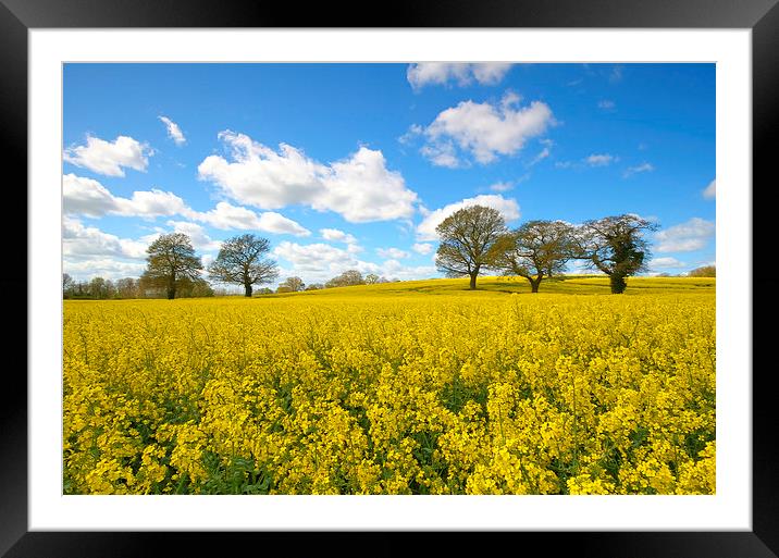  Spring fields Framed Mounted Print by Paul Nichols