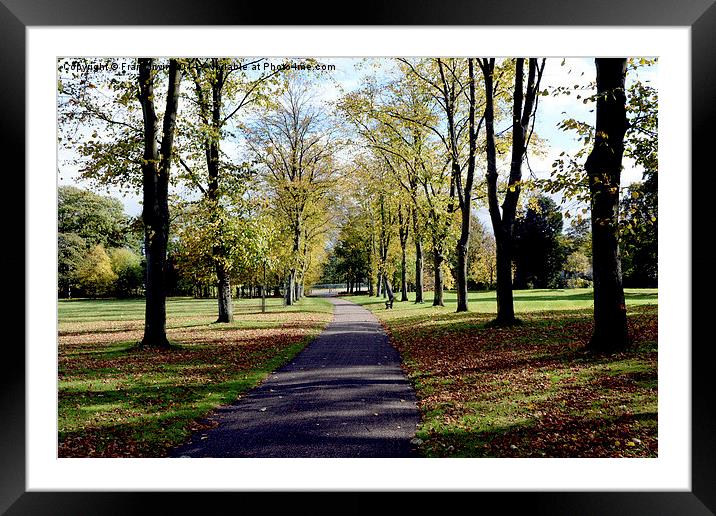  Autumnal colours in the park Framed Mounted Print by Frank Irwin