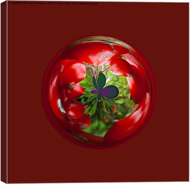  Butterfly Globe with red berries. Canvas Print by Robert Gipson
