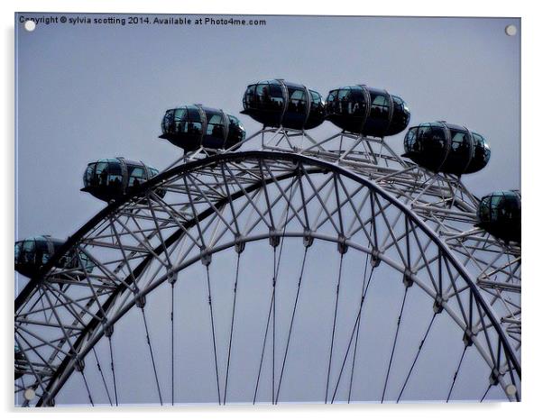  The London Eye  Acrylic by sylvia scotting