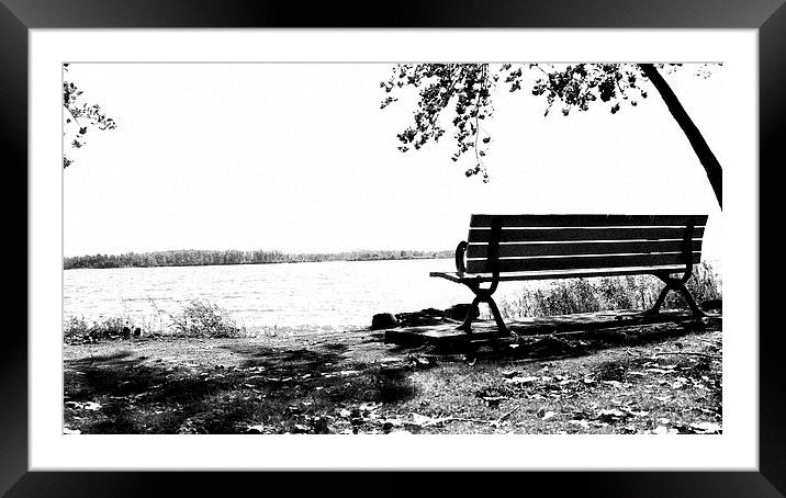  Beyond The Bench Framed Mounted Print by Johnson's Productions