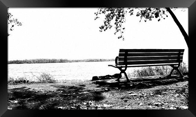  Beyond The Bench Framed Print by Johnson's Productions
