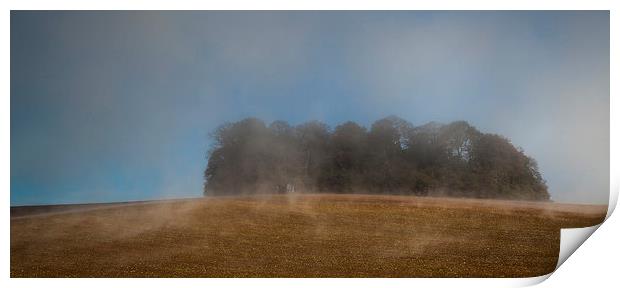  Trees In The Mist Print by Nigel Jones