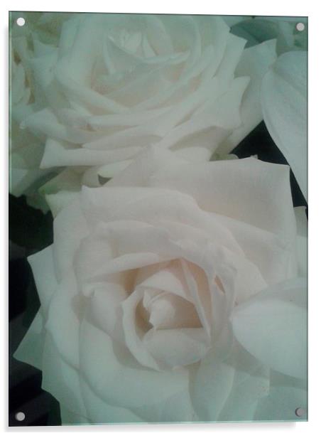  White Roses Acrylic by Yasmin Jeevanjee