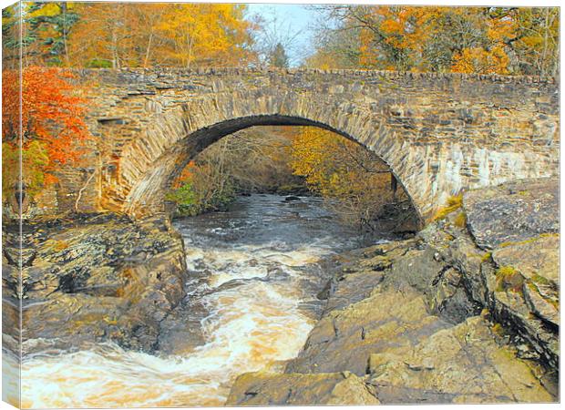  the falls of dochart Canvas Print by dale rys (LP)