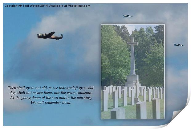  We Will Remember Them Print by Terri Waters
