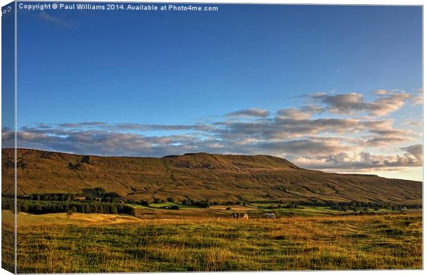 Lower Whernside in the Yorkshire Dales Canvas Print by Paul Williams