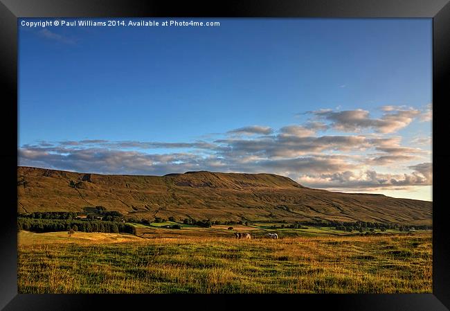 Lower Whernside in the Yorkshire Dales Framed Print by Paul Williams