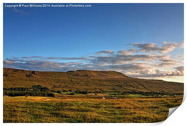 Lower Whernside in the Yorkshire Dales Print by Paul Williams